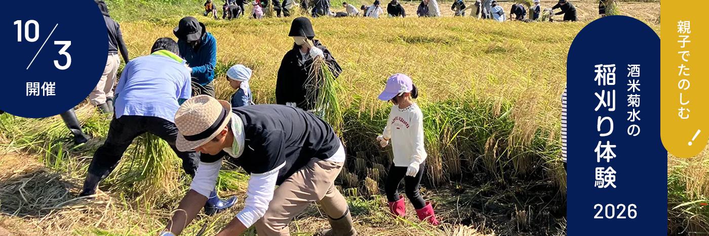親子でたのしむ！酒米菊水の稲刈り体験2026